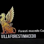 foresti macedo casa